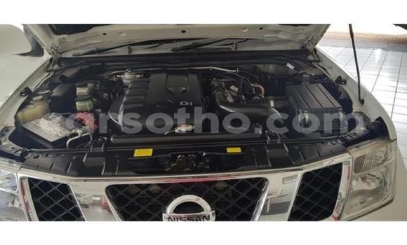 Sayi Na hannu Nissan Navara White Mota in Maputsoa a Leribe Sayi Na hannu Nissan Navara White Mota in Maputsoa a Leribe