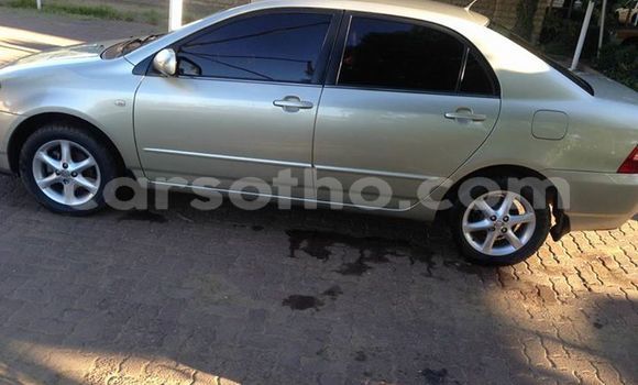 Buy Used Toyota Corolla Silver Car in Maseru in Maseru Buy Used Toyota Corolla Silver Car in Maseru in Maseru