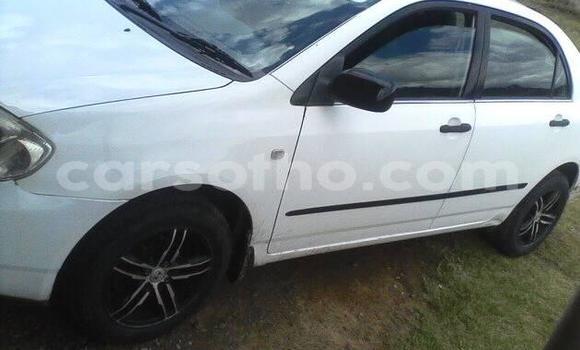 Buy Used Toyota Corolla White Car in Maseru in Maseru Buy Used Toyota Corolla White Car in Maseru in Maseru