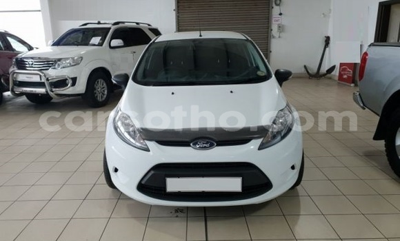 Buy Used Ford Focus White Car in Maseru in Maseru Buy Used Ford Focus White Car in Maseru in Maseru