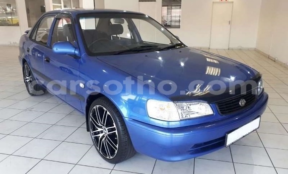 Buy Used Toyota Corolla Blue Car in Maseru in Maseru Buy Used Toyota Corolla Blue Car in Maseru in Maseru
