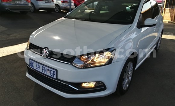 Buy Used Volkswagen Polo White Car in Maseru in Maseru Buy Used Volkswagen Polo White Car in Maseru in Maseru
