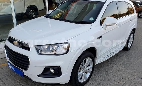 اشتري مستعمل Chevrolet Captiva White سيارة في Maseru في Maseru اشتري مستعمل Chevrolet Captiva White سيارة في Maseru في Maseru