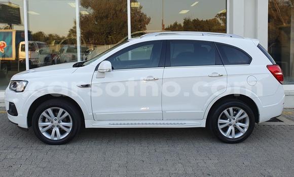 اشتري مستعمل Chevrolet Captiva White سيارة في Maseru في Maseru اشتري مستعمل Chevrolet Captiva White سيارة في Maseru في Maseru