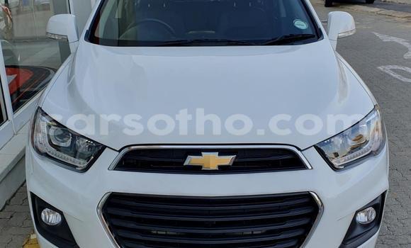 اشتري مستعمل Chevrolet Captiva White سيارة في Maseru في Maseru اشتري مستعمل Chevrolet Captiva White سيارة في Maseru في Maseru