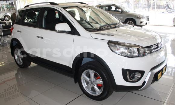 اشتري مستعمل Haval H2 White سيارة في Maseru في Maseru اشتري مستعمل Haval H2 White سيارة في Maseru في Maseru