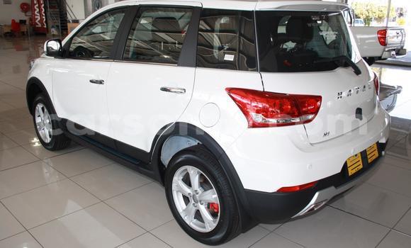 اشتري مستعمل Haval H2 White سيارة في Maseru في Maseru اشتري مستعمل Haval H2 White سيارة في Maseru في Maseru