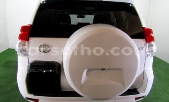 Buy Used Toyota Prado White Car in Maputsoe in Leribe Buy Used Toyota Prado White Car in Maputsoe in Leribe