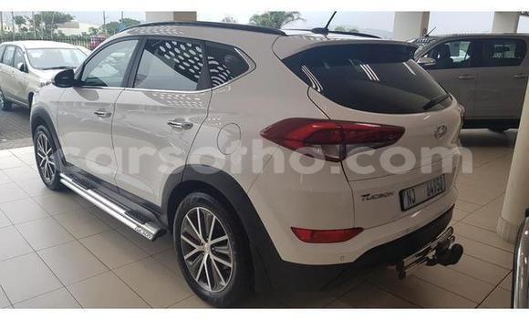 اشتري مستعمل Hyundai Tucson White سيارة في Mafeteng في Mafeteng اشتري مستعمل Hyundai Tucson White سيارة في Mafeteng في Mafeteng