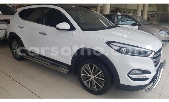اشتري مستعمل Hyundai Tucson White سيارة في Mafeteng في Mafeteng اشتري مستعمل Hyundai Tucson White سيارة في Mafeteng في Mafeteng
