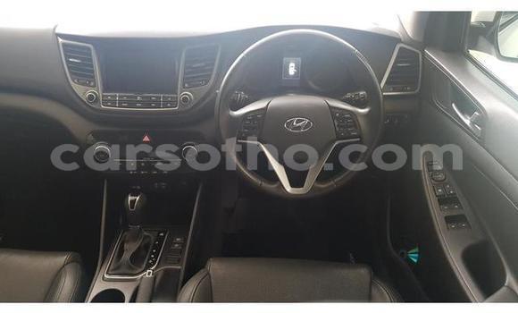اشتري مستعمل Hyundai Tucson White سيارة في Mafeteng في Mafeteng اشتري مستعمل Hyundai Tucson White سيارة في Mafeteng في Mafeteng