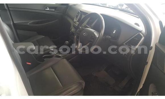 اشتري مستعمل Hyundai Tucson White سيارة في Mafeteng في Mafeteng اشتري مستعمل Hyundai Tucson White سيارة في Mafeteng في Mafeteng