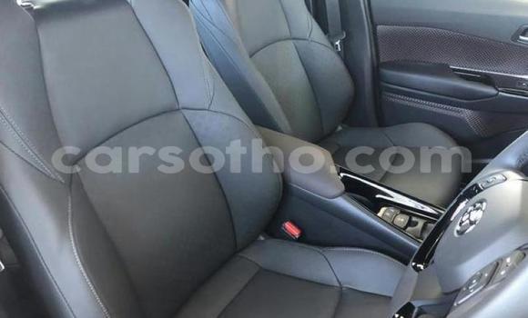 Sayi Na hannu Toyota C-HR Silver Mota in Maseru a Maseru Sayi Na hannu Toyota C-HR Silver Mota in Maseru a Maseru