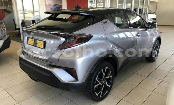 Sayi Na hannu Toyota C-HR Silver Mota in Maseru a Maseru Sayi Na hannu Toyota C-HR Silver Mota in Maseru a Maseru