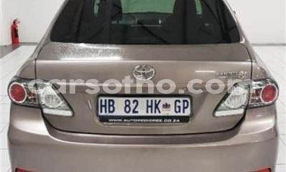 Acheter Occasion Voiture Toyota Corolla Marron à Mohale's Hoek, Mohale's Hoek Acheter Occasion Voiture Toyota Corolla Marron à Mohale's Hoek, Mohale's Hoek