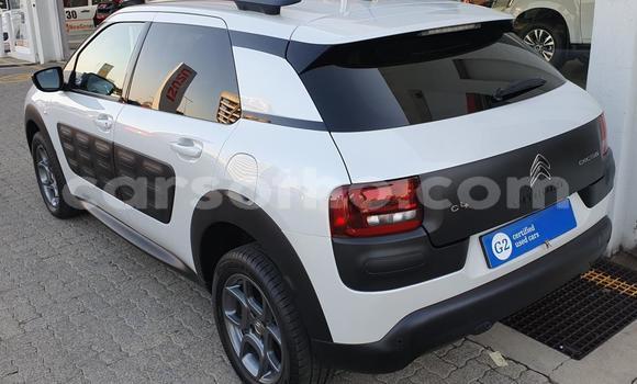 اشتري مستعمل Citroen C4 Other سيارة في Maseru في Maseru اشتري مستعمل Citroen C4 Other سيارة في Maseru في Maseru