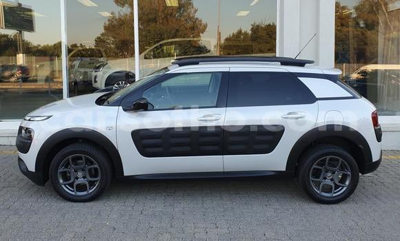 اشتري مستعمل Citroen C4 Other سيارة في Maseru في Maseru اشتري مستعمل Citroen C4 Other سيارة في Maseru في Maseru