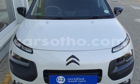 اشتري مستعمل Citroen C4 Other سيارة في Maseru في Maseru اشتري مستعمل Citroen C4 Other سيارة في Maseru في Maseru