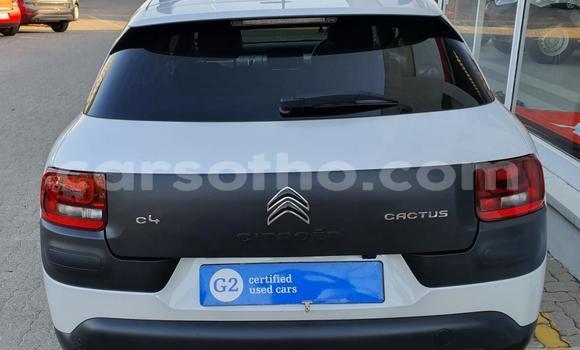 اشتري مستعمل Citroen C4 Other سيارة في Maseru في Maseru اشتري مستعمل Citroen C4 Other سيارة في Maseru في Maseru