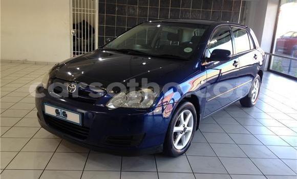 Sayi Na hannu Toyota Runx Blue Mota in Hlotse a Leribe Sayi Na hannu Toyota Runx Blue Mota in Hlotse a Leribe