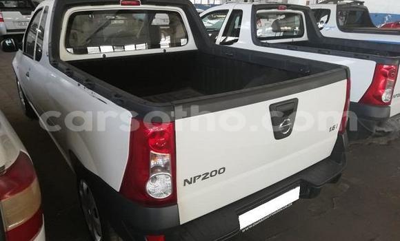 Sayi Na hannu Nissan NP 300 White Mota in Thaba–Tseka a Mafeteng Sayi Na hannu Nissan NP 300 White Mota in Thaba–Tseka a Mafeteng