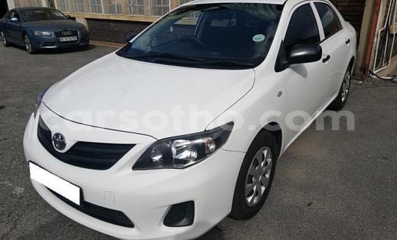 Acheter Occasion Voiture Toyota Corolla Gris à Thaba–Tseka, Mafeteng Acheter Occasion Voiture Toyota Corolla Gris à Thaba–Tseka, Mafeteng