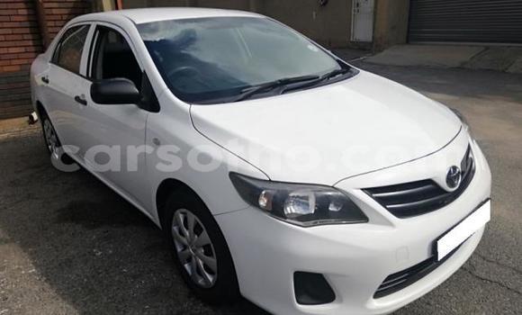 Acheter Occasion Voiture Toyota Corolla Gris à Thaba–Tseka, Mafeteng Acheter Occasion Voiture Toyota Corolla Gris à Thaba–Tseka, Mafeteng