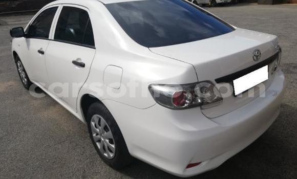 Acheter Occasion Voiture Toyota Corolla Gris à Thaba–Tseka, Mafeteng Acheter Occasion Voiture Toyota Corolla Gris à Thaba–Tseka, Mafeteng