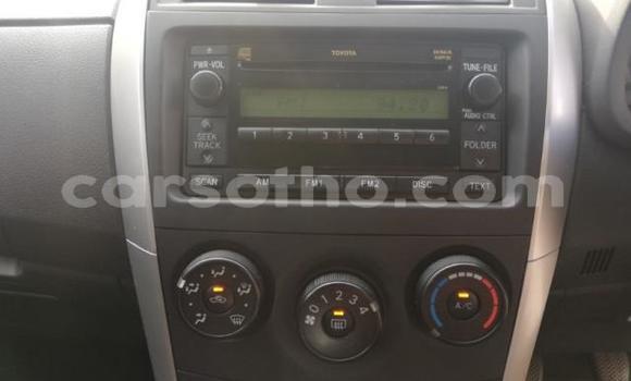 Acheter Occasion Voiture Toyota Corolla Gris à Thaba–Tseka, Mafeteng Acheter Occasion Voiture Toyota Corolla Gris à Thaba–Tseka, Mafeteng