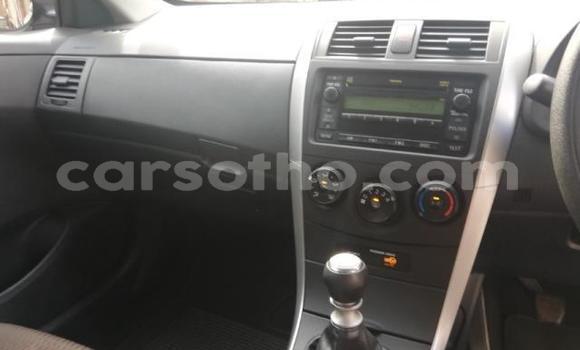 Acheter Occasion Voiture Toyota Corolla Gris à Thaba–Tseka, Mafeteng Acheter Occasion Voiture Toyota Corolla Gris à Thaba–Tseka, Mafeteng