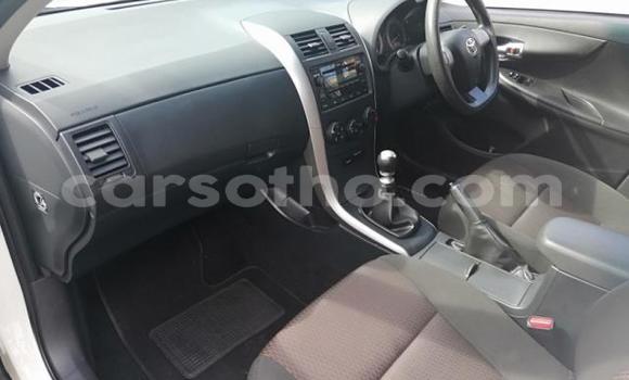 Acheter Occasion Voiture Toyota Corolla Gris à Thaba–Tseka, Mafeteng Acheter Occasion Voiture Toyota Corolla Gris à Thaba–Tseka, Mafeteng