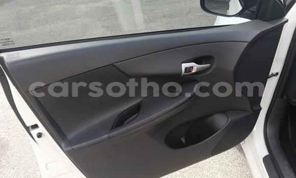 Acheter Occasion Voiture Toyota Corolla Gris à Thaba–Tseka, Mafeteng Acheter Occasion Voiture Toyota Corolla Gris à Thaba–Tseka, Mafeteng