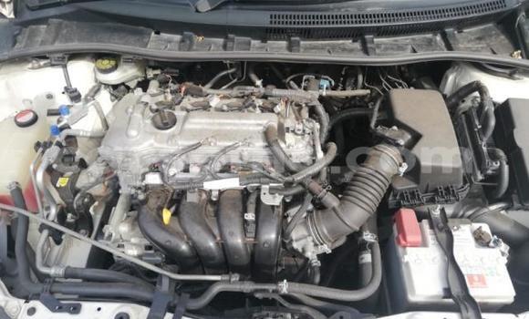 Acheter Occasion Voiture Toyota Corolla Gris à Thaba–Tseka, Mafeteng Acheter Occasion Voiture Toyota Corolla Gris à Thaba–Tseka, Mafeteng