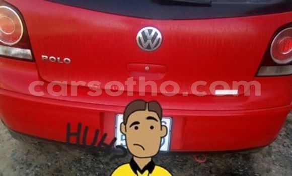 Buy Used Volkswagen Polo Red Car in Maseru in Maseru Buy Used Volkswagen Polo Red Car in Maseru in Maseru