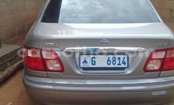 Buy Used Nissan Bluebird Sylphy Silver Car in Maseru in Maseru Buy Used Nissan Bluebird Sylphy Silver Car in Maseru in Maseru