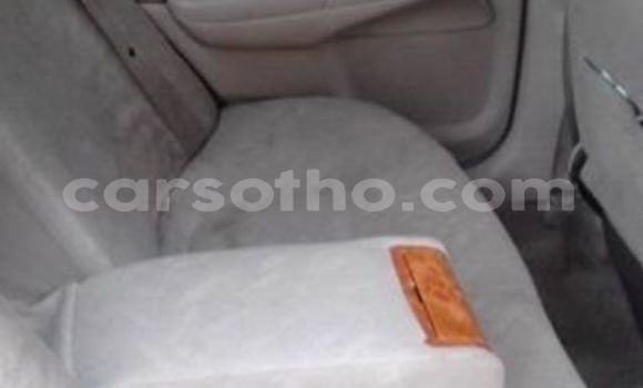 Buy Used Nissan Bluebird Sylphy Silver Car in Maseru in Maseru Buy Used Nissan Bluebird Sylphy Silver Car in Maseru in Maseru