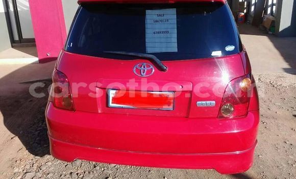 Buy Used Toyota IST Red Car in Maseru in Maseru Buy Used Toyota IST Red Car in Maseru in Maseru