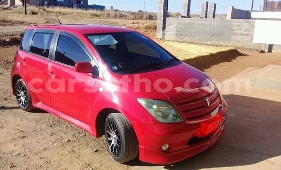 Buy Used Toyota IST Red Car in Maseru in Maseru Buy Used Toyota IST Red Car in Maseru in Maseru