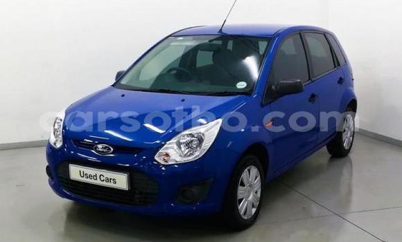 Acheter Occasion Voiture Ford Focus Bleu à Import - Dubai, Maseru Acheter Occasion Voiture Ford Focus Bleu à Import - Dubai, Maseru