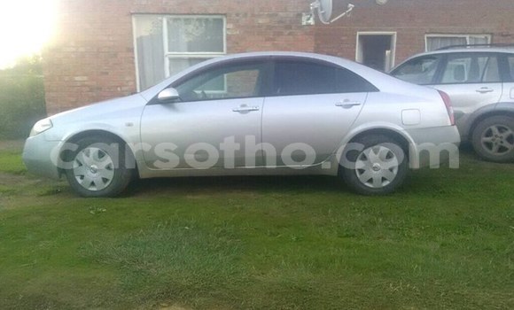 Buy Used Nissan Primera Silver Car in Maseru in Maseru Buy Used Nissan Primera Silver Car in Maseru in Maseru