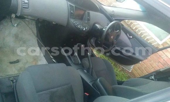 اشتري مستعمل Nissan Primera Silver سيارة في Maseru في Maseru اشتري مستعمل Nissan Primera Silver سيارة في Maseru في Maseru