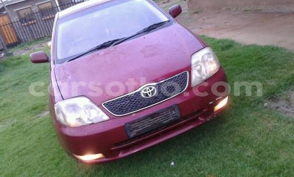 اشتري مستعمل Toyota Corolla Red سيارة في Maseru في Maseru اشتري مستعمل Toyota Corolla Red سيارة في Maseru في Maseru