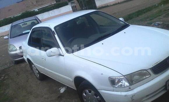 Buy Used Toyota Corolla White Car in Maseru in Maseru Buy Used Toyota Corolla White Car in Maseru in Maseru