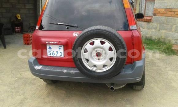 Buy Used Honda CR-V Red Car in Maseru in Maseru Buy Used Honda CR-V Red Car in Maseru in Maseru