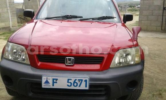 اشتري مستعمل Honda CR–V Red سيارة في Maseru في Maseru اشتري مستعمل Honda CR–V Red سيارة في Maseru في Maseru