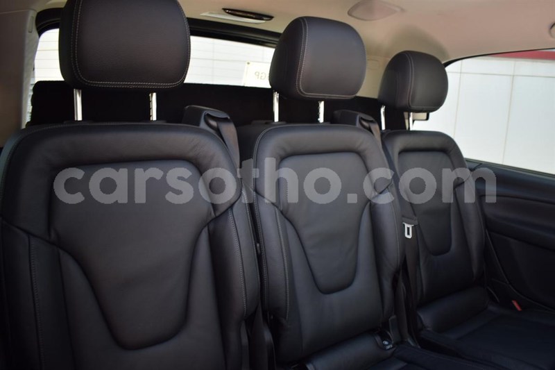 Big with watermark c2