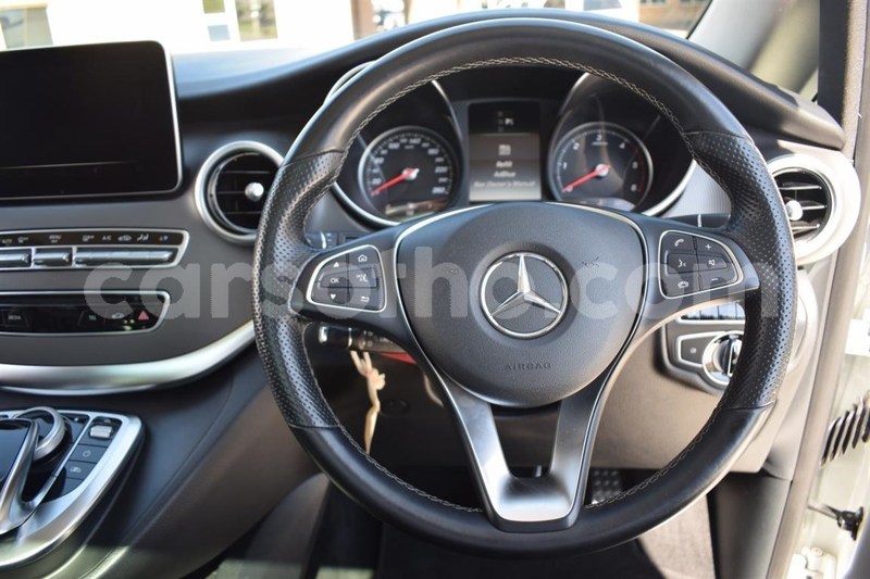 Big with watermark c5