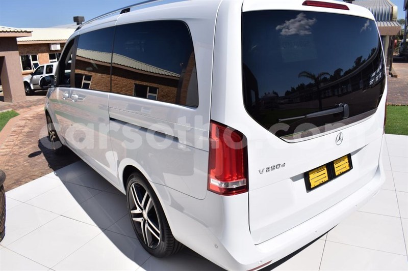 Big with watermark c6