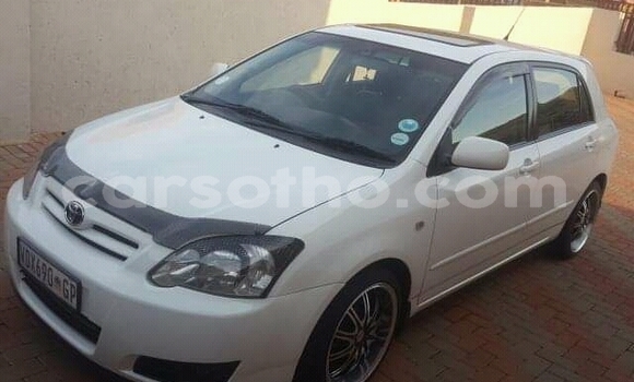 Buy Used Toyota Runx White Car in Maseru in Maseru Buy Used Toyota Runx White Car in Maseru in Maseru
