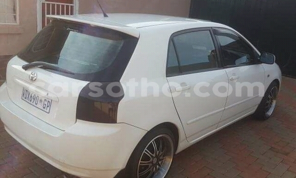 Buy Used Toyota Runx White Car in Maseru in Maseru Buy Used Toyota Runx White Car in Maseru in Maseru